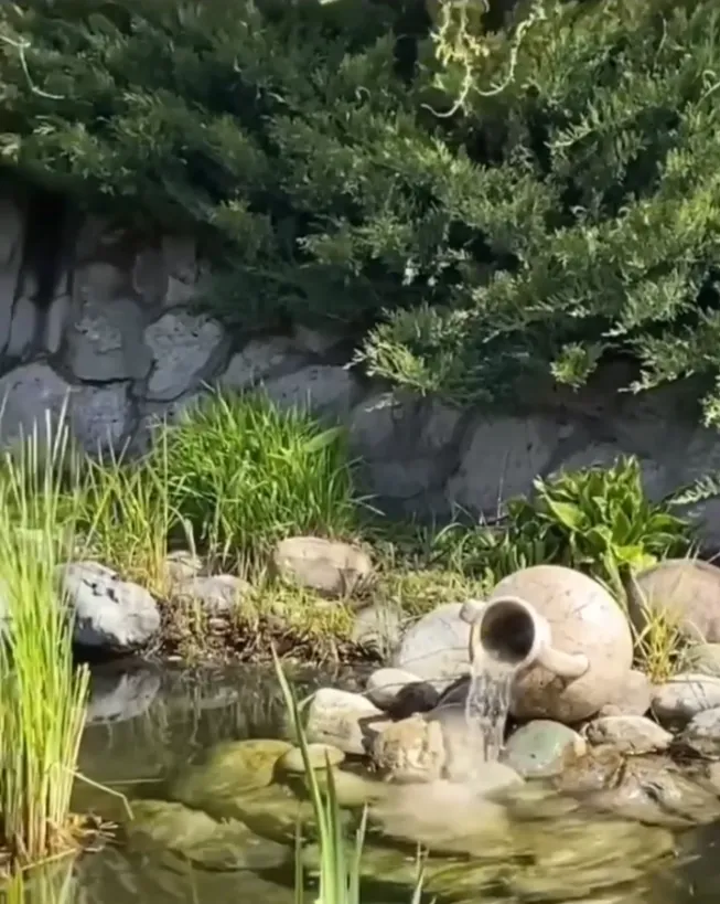 Радость души